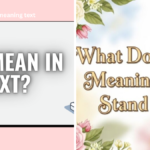 LMS Meaning Text