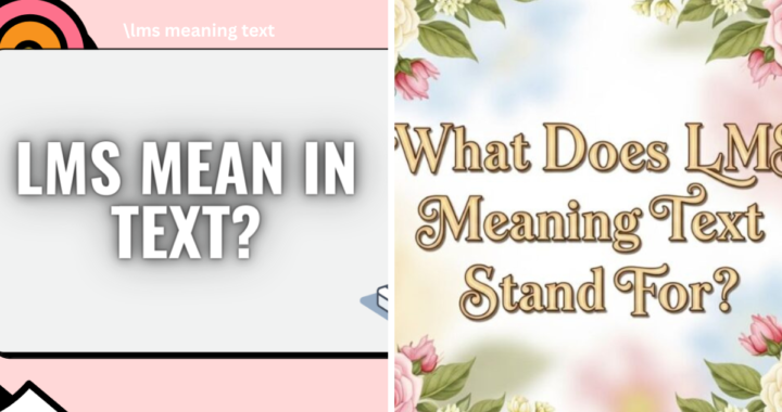 LMS Meaning Text