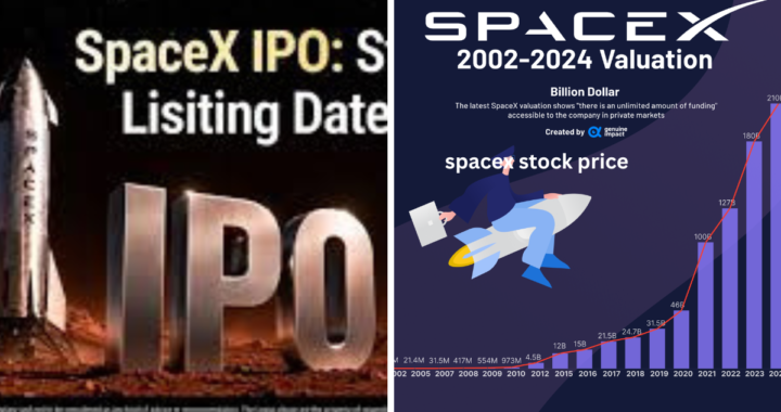 SpaceX Stock Price