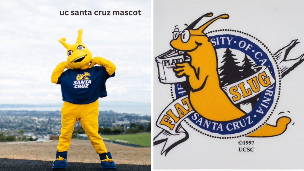 uc santa cruz mascot