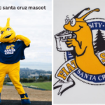 uc santa cruz mascot