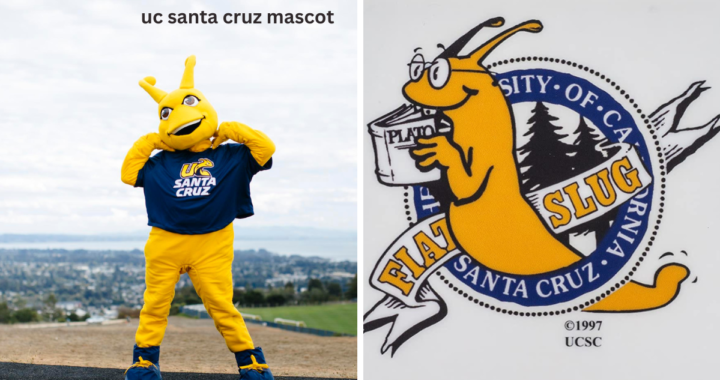 uc santa cruz mascot